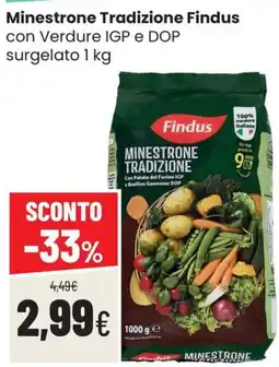 Coop Trentino Minestrone Tradizione Findus offerta