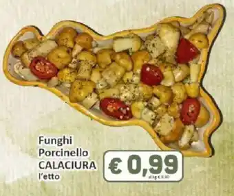 Funghi Porcinello CALACIURA