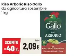 Coop Trentino Riso Arborio Gallo offerta