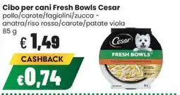 Coop Trentino Cibo per cani Fresh Bowls Cesar offerta