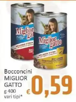Paghi Poco Bocconcini Miglior Gatto offerta