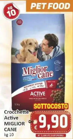 Paghi Poco Crocchette Active Miglior Cane offerta