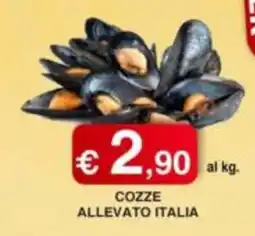 Orsini Market Cozze allevato italia offerta