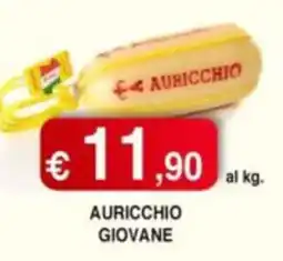 Orsini Market Auricchio giovane offerta