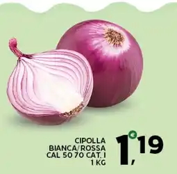 Extra Supermercati Cipolla bianca/rossa offerta