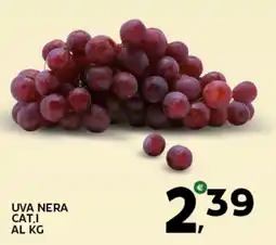 Extra Supermercati Uva nera offerta