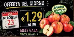 èccoMI Mele Gala offerta