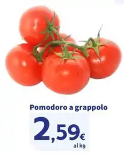 Sigma Superstore Pomodoro a grappolo offerta