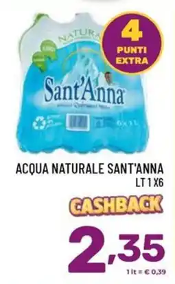 Il Centesimo Acqua naturale Sant'Anna offerta