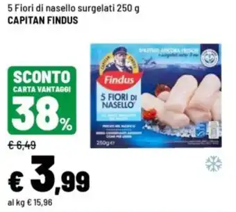 Iper La Grande 5 Fiori di nasello surgelati offerta