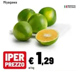 Iper La Grande Miyagawa offerta