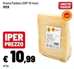 Iper La Grande Grana Padano DOP 16 mesi offerta