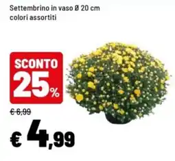 Iper La Grande Settembrino offerta