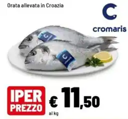 Iper La Grande Orata allevata in Croazia cromaris offerta