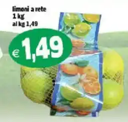 Il Castoro Supermercati limoni a rete offerta