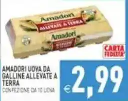 Pim Supermercati Amadori uova da galline allevate a terra offerta