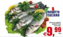 Pewex Spigole Agroittica Toscana offerta