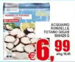 Pewex Acquario rondelle totano gigas offerta