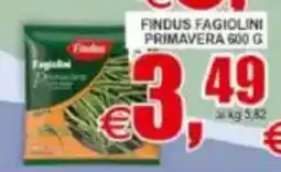Pewex Findus Fagiolini Primavera offerta