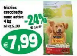 Il Castoro Supermercati Friskies crocchette cane active offerta