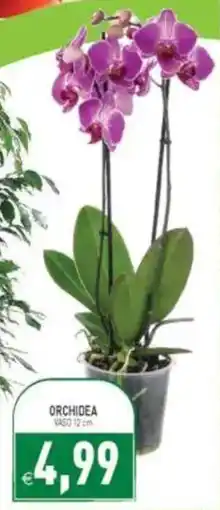 Pim Supermercati Orchidea offerta