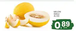 Eurospar MELONI GIALLI AL KG offerta
