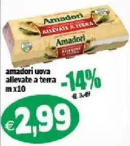 Il Castoro Supermercati Amadori uova allevate a terra offerta