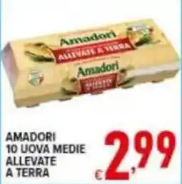 Iper Triscount Amadori 10 uova medie allevate a terra offerta