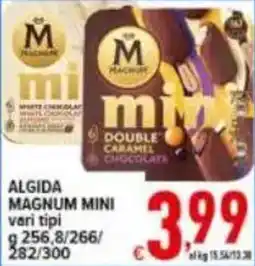 Iper Triscount Algida Magnum Mini offerta