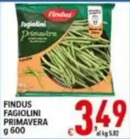Iper Triscount Findus Fagiolini Primavera offerta