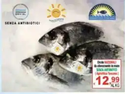 CTS Supermercati Orate NAZIONALI (Agricoltura Toscana) offerta