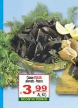 CTS Supermercati Cozze Italia offerta