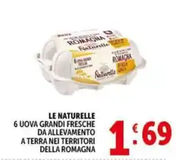 Gourmet Déco Le Naturelle uova grandi fresche offerta