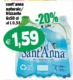 Il Castoro Supermercati sant'anna naturale/frizzante offerta