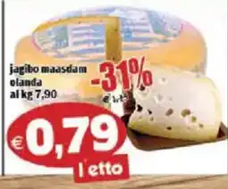 Il Castoro Supermercati Jagibo maasdam olanda offerta