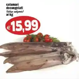 Il Castoro Supermercati calamari decongelati offerta