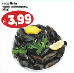 Il Castoro Supermercati Cozze Italia offerta