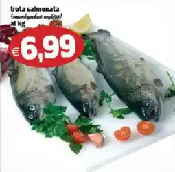 Il Castoro Supermercati trota salmonata offerta