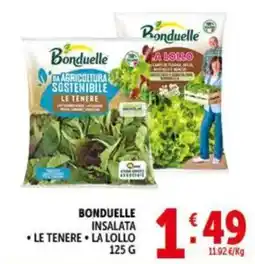 Gourmet Déco Bonduelle insalata le tenere la lollo offerta
