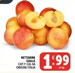 Gourmet Déco Nettarine gialle offerta