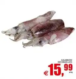 Pewex Calamaro decongelato offerta