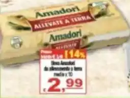 CTS Supermercati Amadori allevate a terra offerta