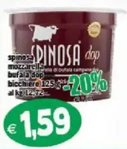 Il Castoro Supermercati Spinosa mozzarella bufala dop offerta