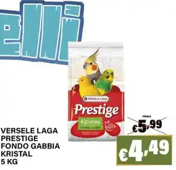 Zoomiguana Versele Laga Prestige Fondo Gabbia Kristal offerta