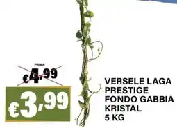 Zoomiguana Versele Laga Prestige Fondo Gabbia Kristal offerta