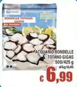 Top Supermercati Acquario rondelle totano gigas offerta