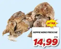 MA Supermercati Seppie nere fresche offerta