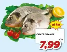 MA Supermercati Orate grandi offerta