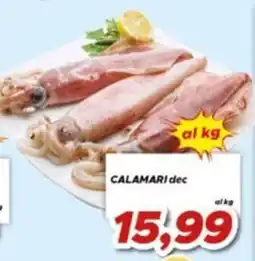 MA Supermercati Calamari dec offerta