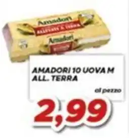 MA Supermercati Amadori uova m all. terra offerta